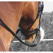 Horseexplore RID/KÖRträns med crossunderremmar