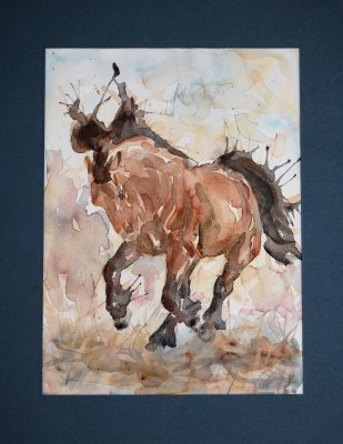 Horseexplore Sprätthäst original akvarell signerad Anette Kynman
