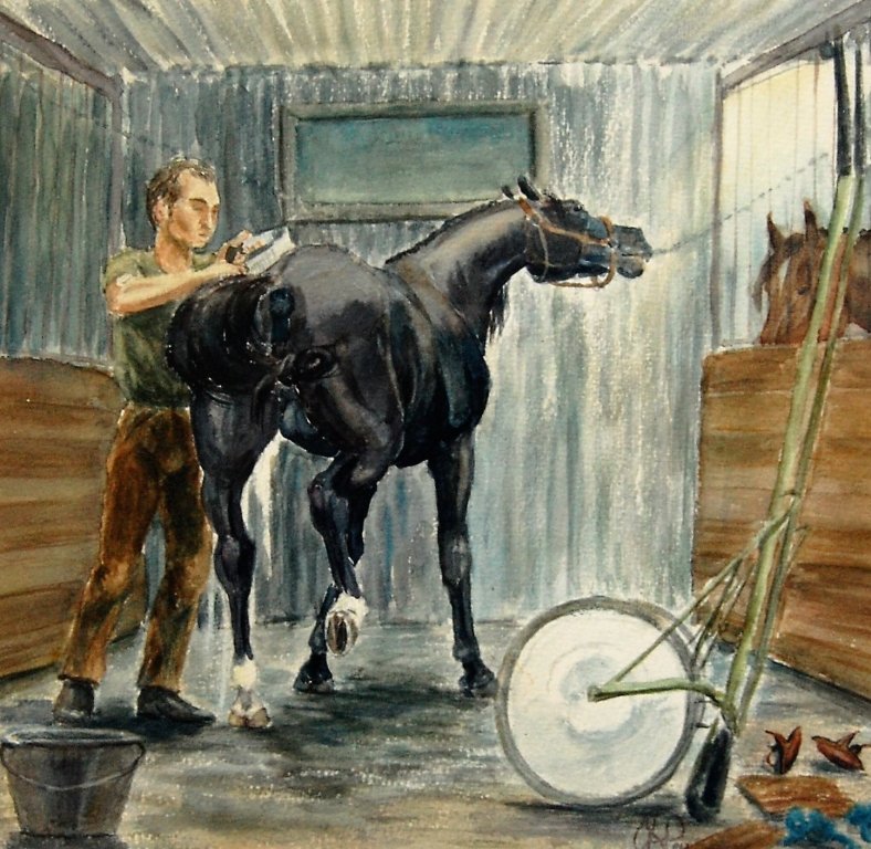 horseexplore tvätt efter jobb anette kynman 1984