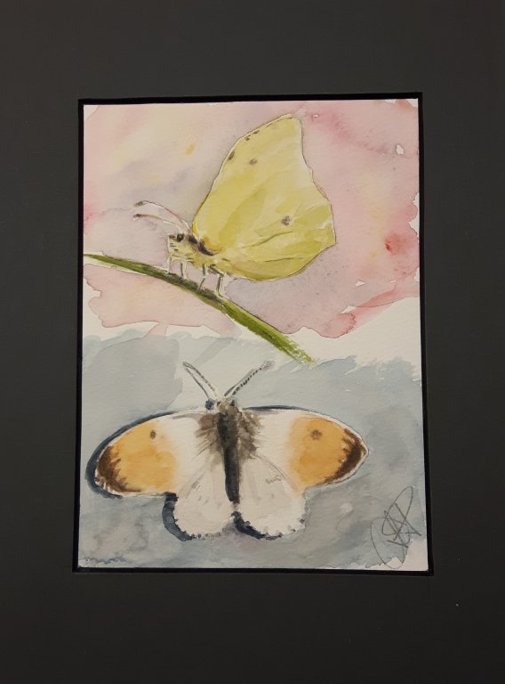 Horseexplore Akvarell "Fjärilar" Anette Kynman